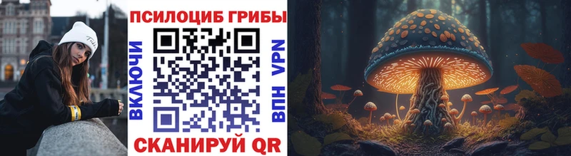 Псилоцибиновые грибы Psilocybine cubensis  Озёрск 